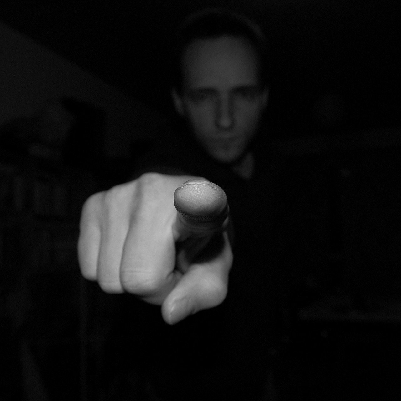 Image module